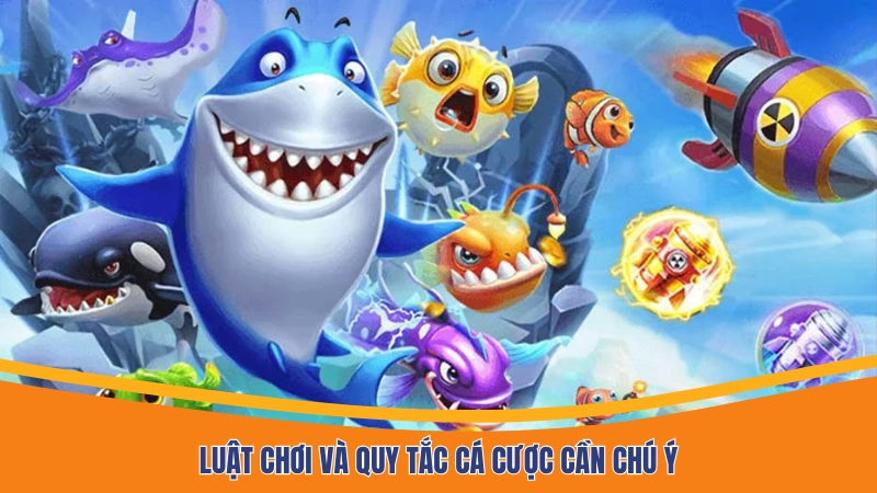 Luật chơi và quy tắc cá cược cần chú ý