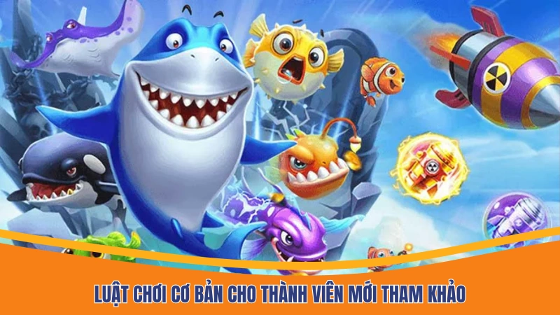 Luật chơi cơ bản cho thành viên mới tham khảo