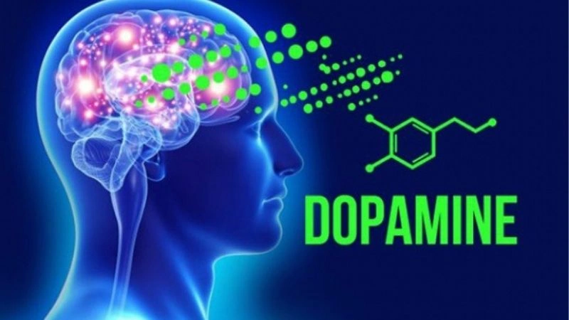 Hiệu ứng Dopamine và sự hình thành thói quen