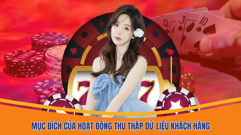 Mục đích của hoạt động thu thập dữ liệu khách hàng