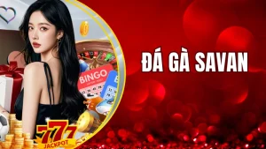 Đá gà Savan