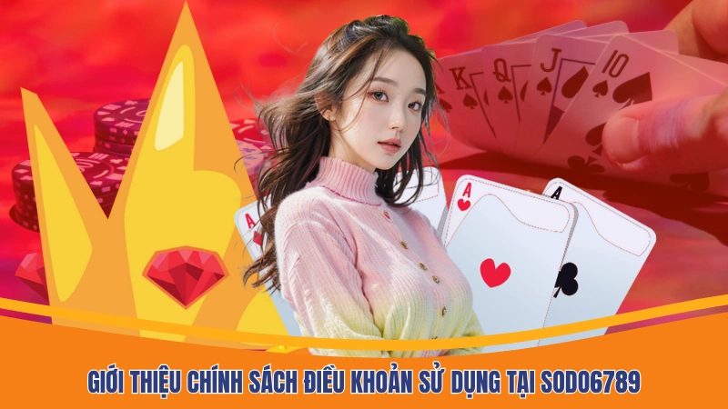 Giới thiệu chính sách điều khoản sử dụng tại Sodo6789