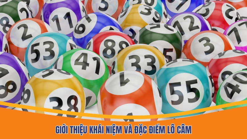 Giới thiệu khái niệm và đặc điểm lô câm