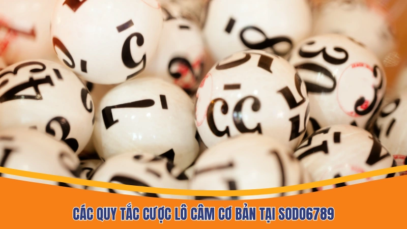 Các quy tắc cược lô câm cơ bản tại Sodo6789