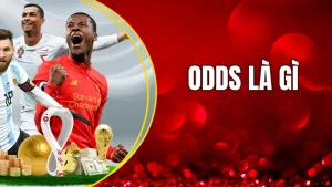 Odds là gì