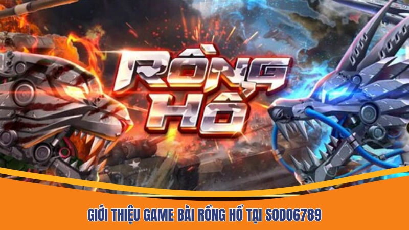 Giới thiệu game bài Rồng Hổ tại Sodo6789