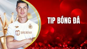 Tip bóng đá